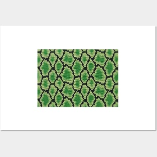 Snake Skin Pattern Posters and Art